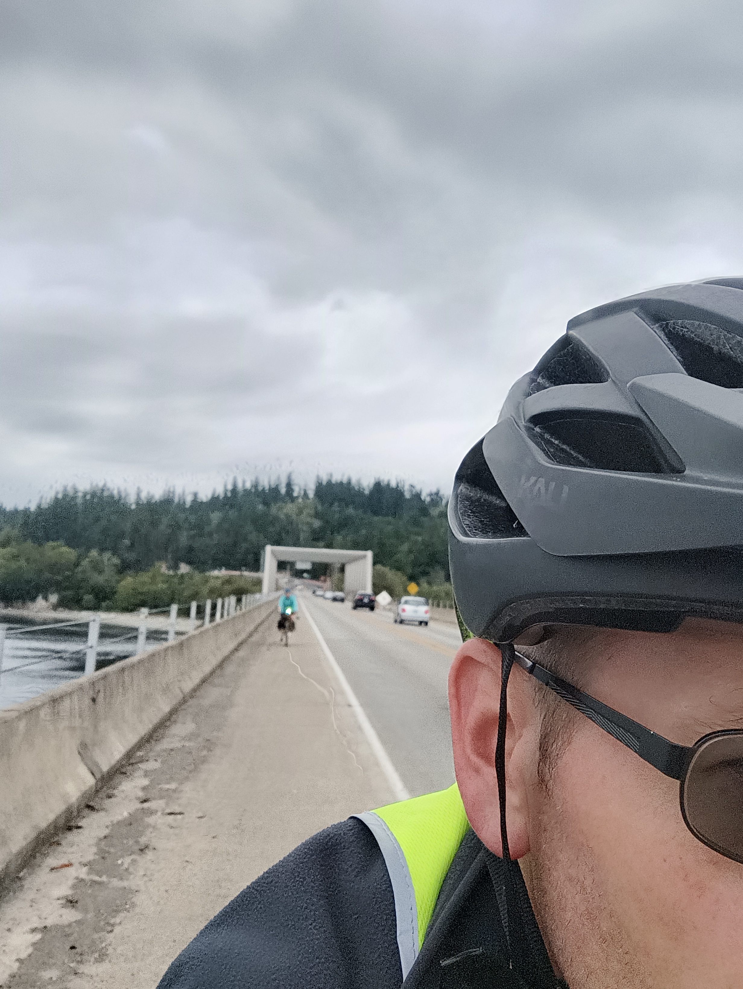 Doctor Roscoe's Holistic Bicycle Repair